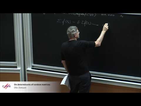 Ofer Zeitouni: On determinants of random matrices