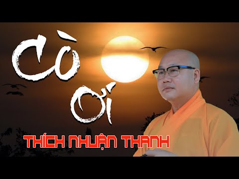 CÒ ƠI - bài thơ của BÀ CỤ 93 tuổi gây chấn động cộng đồng mạng || THÍCH NHUẬN THANH