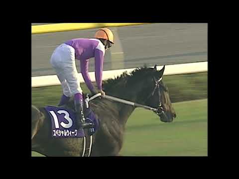 1999 Japan Cup (G1) | JRA Official