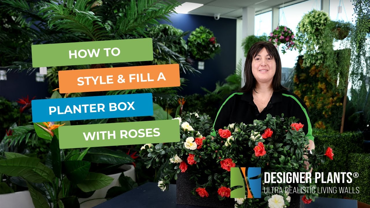 Arrange Plants for Maximum Impact