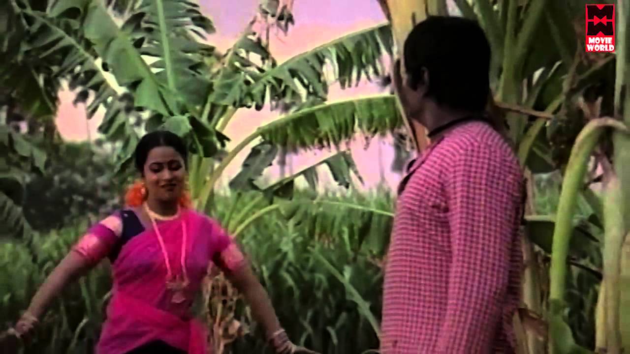 Naan Oru Kanni Ponnu Song Lyrics | Neethiyin Marupakkam