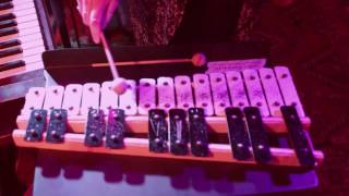 WHYLO feat Swedish Red Elephant - Next Summer Acoustic Session