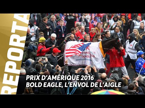 PRIX D'AMÉRIQUE 2016 : BOLD EAGLE, L'ENVOL DE L'AIGLE | Courses de Légendes