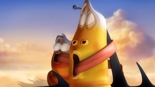 LARVA | WILD WILD WORLD | Cartoons For Children | LARVA Full Episodes