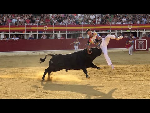 Concurso con Toros Bravos Medina del Campo 2022