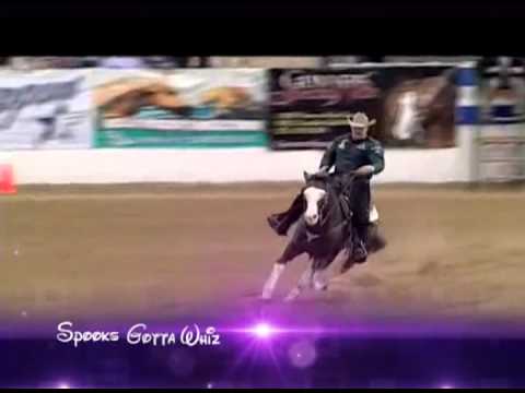 Spooks Gotta Whiz - Stallion Video