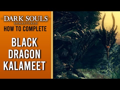 Dark Souls Remastered WALKTHROUGH - Part 24 - Black Dragon Kalameet