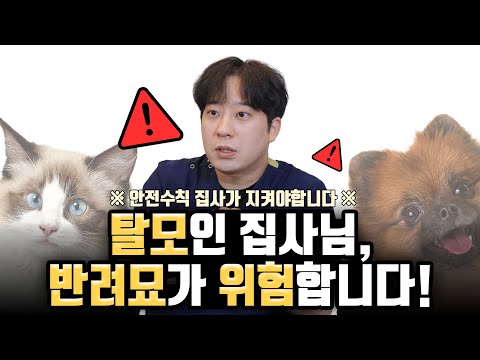 고양이에게 치명적인 탈모약?ㅣ헤어로의원 대구점ㅣ