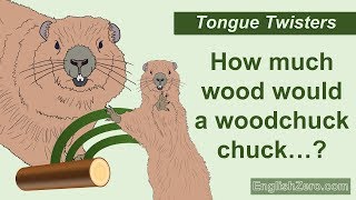 Tongue Twister 6- How Much Wood Would a Woodchuck Chuck if a Woodchuck Could Chuck Wood?