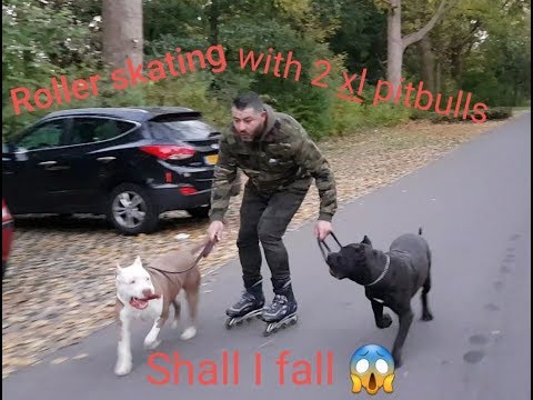 Roller skating to the park with Hennessy and Panthera and the family.