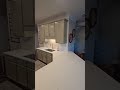Kitchen Remodel Leathered Finished Quartz Countertop