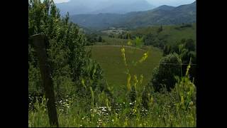 preview picture of video 'Agricoltura biologica in Val di Vara - Valle del Biologico'