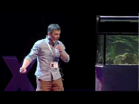 TEDxO'Porto - Ricardo Schiappa - Descobrindo Dimensões Diversas