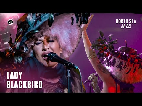 Lady Blackbird - Five Feet Tall, It'll never happen again & interview | North Sea Jazz Festival 2022