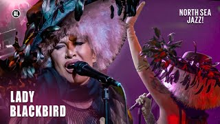 Lady Blackbird - Five Feet Tall, It'll never happen again & interview | North Sea Jazz Festival 2022 MQDEFAULT Thumbnail