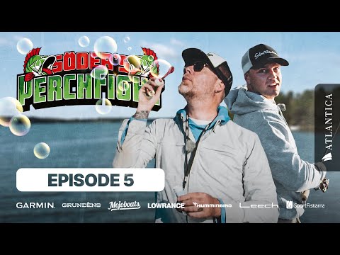 Perch Fight 2022 ep.5 | Sportfiskeprylar.se