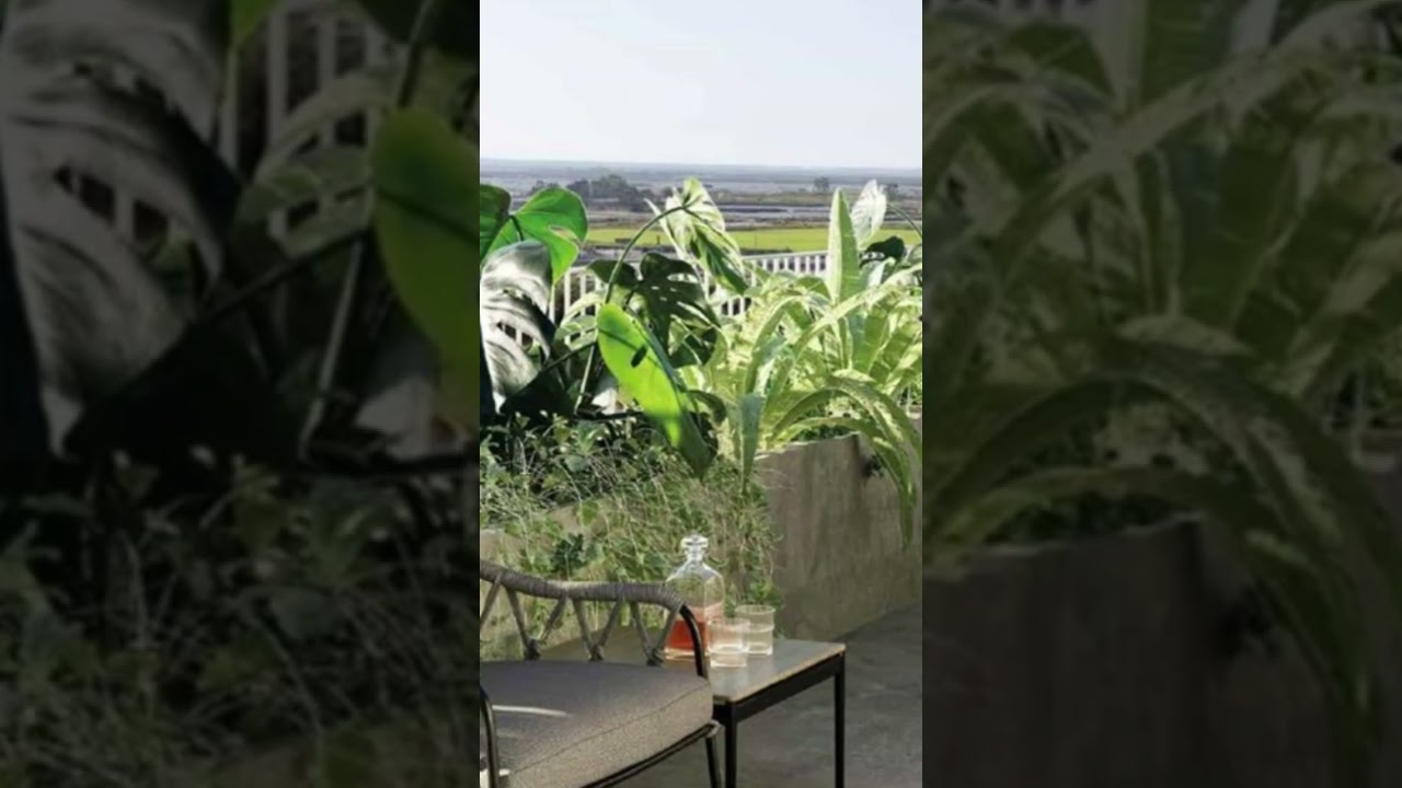 Vídeo do imóvel