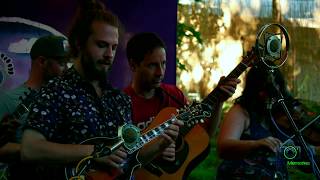 Yonder Mountain String Band  &quot;Take A Chance On Me&quot;