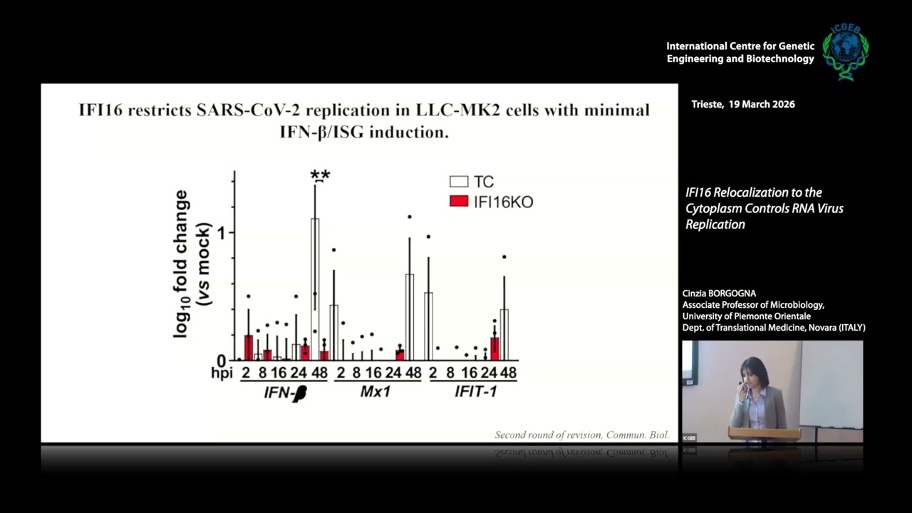 C. Borgogna - IFI16 Relocalization to the Cytoplasm ControlsRNA Virus Replication