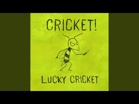 A Song For A Computer Programmer - Cricket!