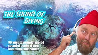 30 Minutes of Underwater Breathing on Scuba | Uninterrupted | Alexander Springs | ASMR 🤿🎧🐠
