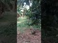 RC Car Hobby ️ ️ Rccars Remotecar
