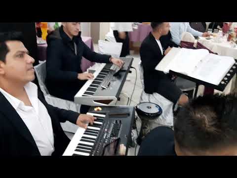 Aurel Babasa Live 2019 , Nunta Paula si Alin Colaj Hore