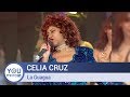 Celia Cruz - La Guagua (Voz en Directo Remastered)