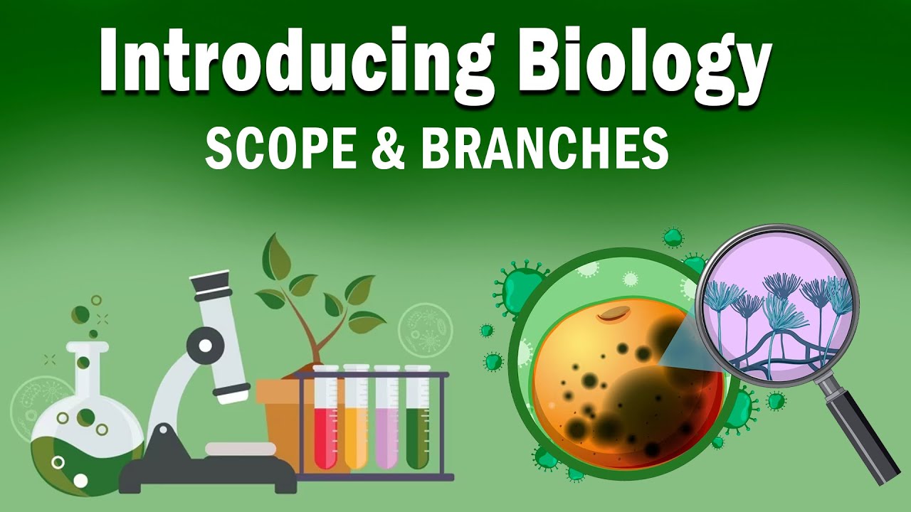 Class 9 | Introducing Biology | Scope and Branches | Biology | ICSE Board | Home Revise