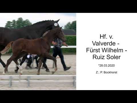 Hf v Valverde x Fuerst Wilhelm x Ruiz Soler 20