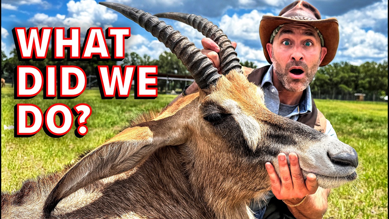Can We Bring an Antelope Back to Life?!