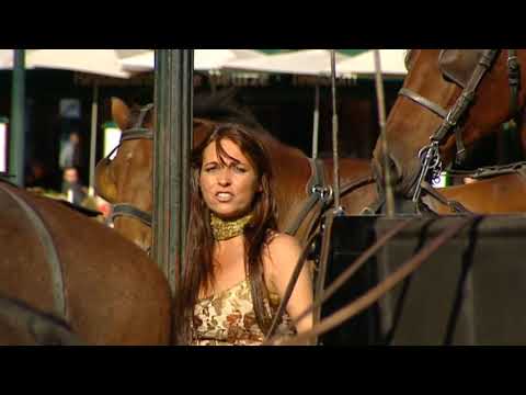 Elz Bakker -  Zoveel mooie woorden