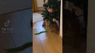 Download lagu Kumpulan like karina putri 🙃 🙂(8) mp3