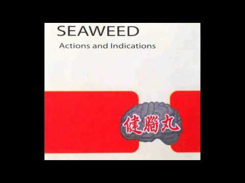 Seaweed - Thru The Window