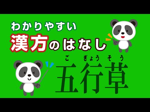 薬学科 五行草(五行草茶)　ごぎょうそう