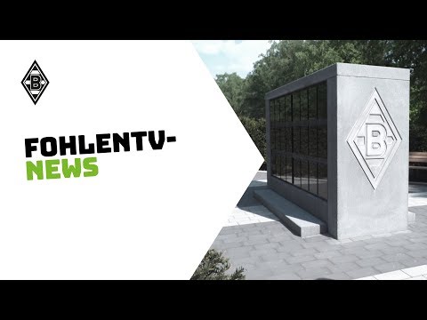 FohlenTV - News
