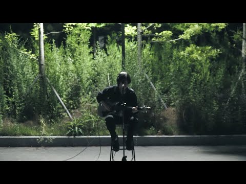 Mira - the spider & the butterfly (live)