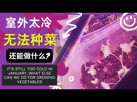 , title : '1月2月太冷不能室外种菜?还能做什么?It's still too cold in January, what else can we do for growing vegetables'