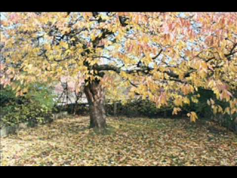 Andrea Gabrieli Vieni, vieni himeneo