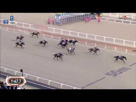 The Gumpu - Trainer Tony Castanheira 1st Korea Winner