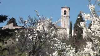 preview picture of video 'Passeggiate in Valpolicella: Santa Maria Valverde'