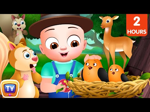 The New Little Forest Ranger - ChuChuTV Storytime Adventures Collection