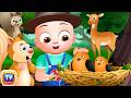 The New Little Forest Ranger ChuChuTV Storytime Adventures Collection