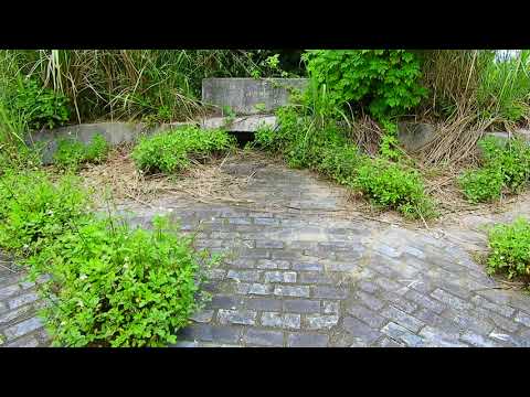 20200531 臺灣 苗栗 公館 八角崠山 三角點
