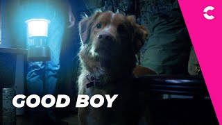 Trailer Preview Image