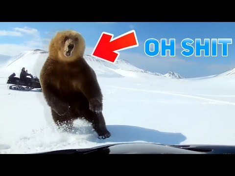 Top 5 Scariest Bear Encounters Caught on GoPro Camera Video