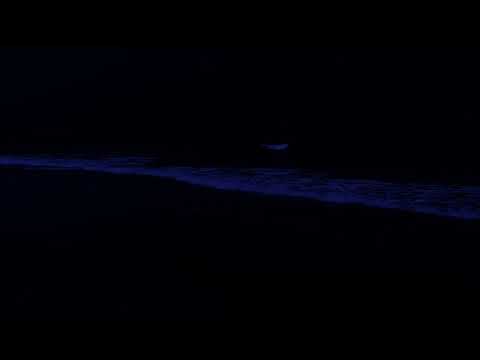 Sleep For 24 Hours Straight, High Quality Stereo Ocean Sounds Of Rolling Waves For Deep Sleeping