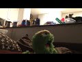 Oscar The Grouch Makes A Fake VHS Opening And Gets Grounded