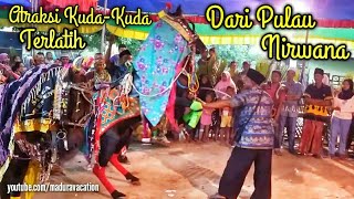 Download lagu Atraksi Kuda-Kuda Terlatih dari Pulau Nirwana mp3