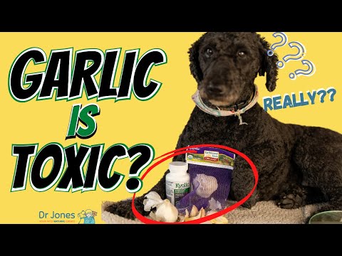 YouTube video about: How to deworm a dog with garlic?